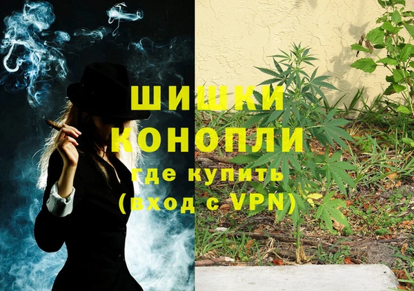 стаф Надым